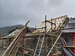coom_10011730.jpg