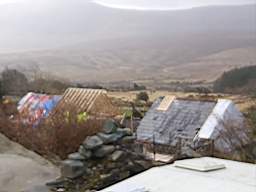 coom_10011800.jpg