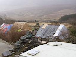coom_10011810.jpg