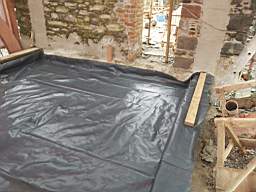 coom_10011830.jpg