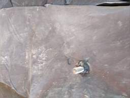 coom_10012070.jpg