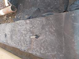coom_10012080.jpg