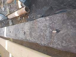 coom_10012090.jpg
