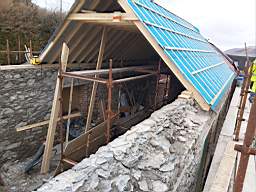 coom_10012390.jpg