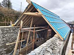 coom_10012400.jpg