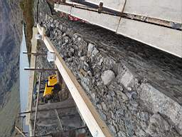 coom_10012730.jpg