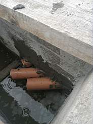 coom_10012960.jpg