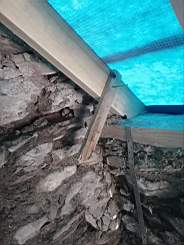 coom_10013040.jpg