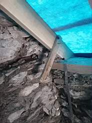 coom_10013050.jpg