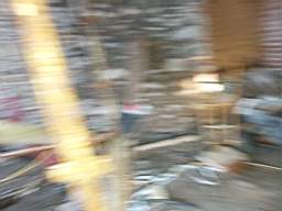 coom_10013720.jpg