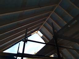 coom_10013740.jpg