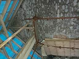 coom_10013780.jpg
