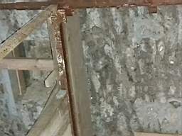 coom_10013790.jpg