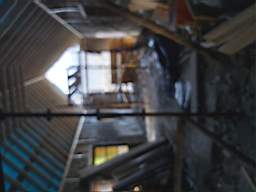 coom_10013800.jpg