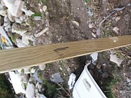 coom_10014070.jpg