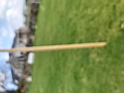 coom_10014100.jpg