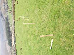 coom_10014120.jpg