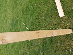 coom_10014130.jpg