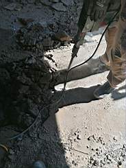 coom_10014670.jpg