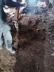 coom_10015280.jpg