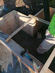 coom_10015330.jpg
