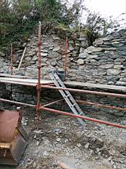 coom_10015650.jpg
