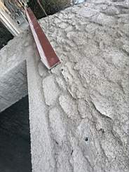 coom_10015970.jpg