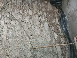 coom_10016060.jpg