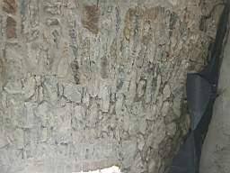 coom_10016070.jpg