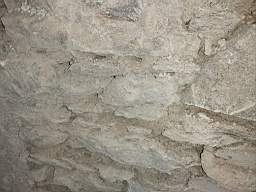 coom_10016080.jpg