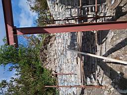 coom_10016280.jpg