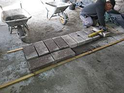 coom_10016300.jpg