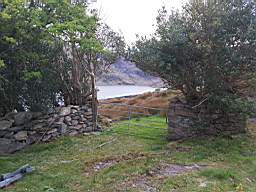 coom_10016570.jpg