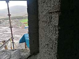 coom_10017150.jpg