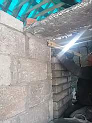 coom_10017320.jpg