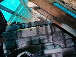 coom_10017800.jpg