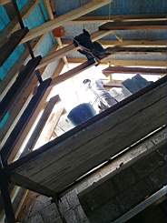 coom_10017870.jpg