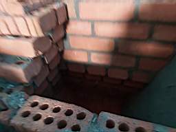 coom_10018310.jpg