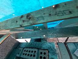 coom_10018540.jpg