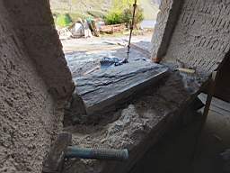 coom_10018570.jpg
