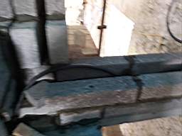 coom_10018710.jpg
