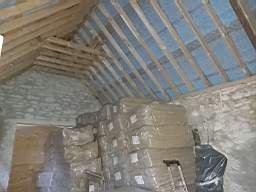coom_10018810.jpg