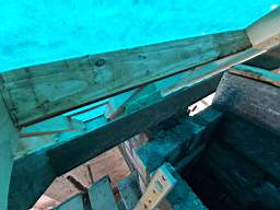 coom_10018820.jpg