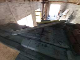 coom_10018870.jpg
