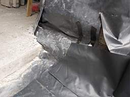 coom_10018910.jpg