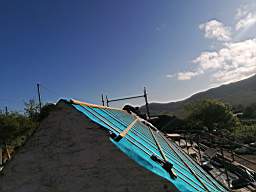 coom_10019170.jpg