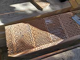 coom_10020410.jpg