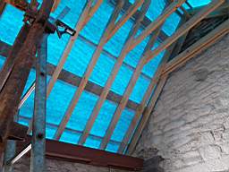 coom_10020750.jpg