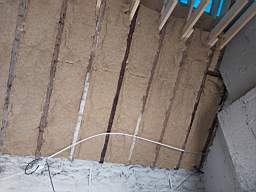 coom_10020790.jpg