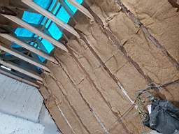 coom_10020840.jpg